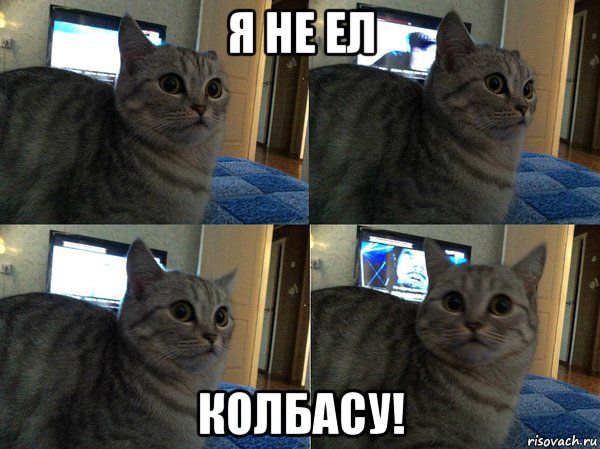 я не ел колбасу!, Мем  Кот в шоке