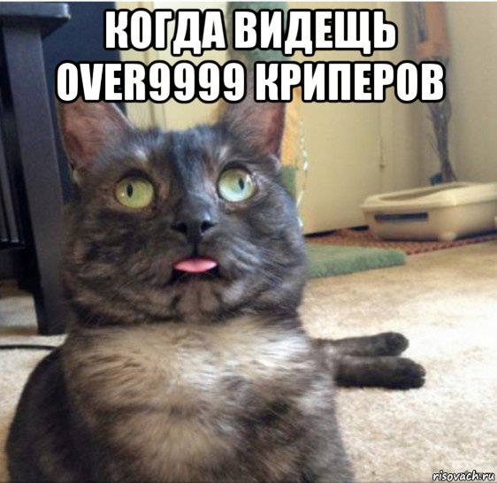 когда видещь over9999 криперов , Мем   Кот завис