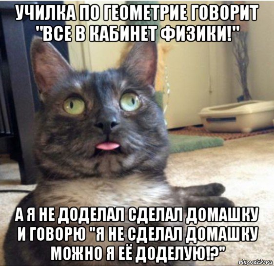 училка по геометрие говорит "все в кабинет физики!" а я не доделал сделал домашку и говорю "я не сделал домашку можно я её доделую!?", Мем   Кот завис