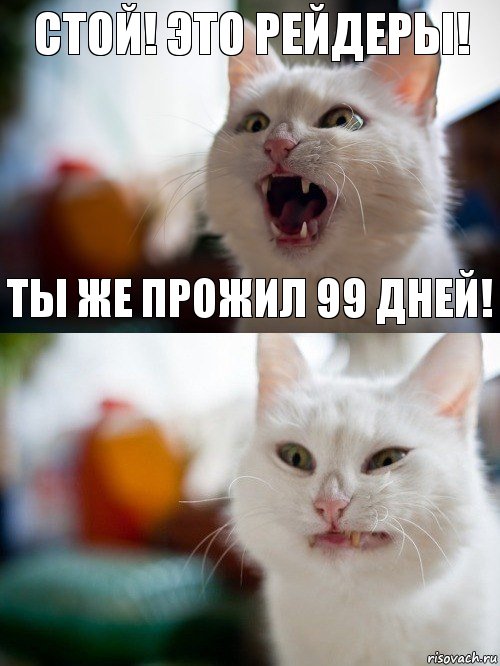 Стой! это рейдеры! ты же прожил 99 дней!, Комикс   Котэ предупреждал