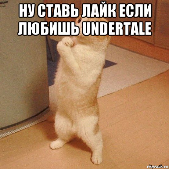 ну ставь лайк если любишь undertale , Мем  котэ молится