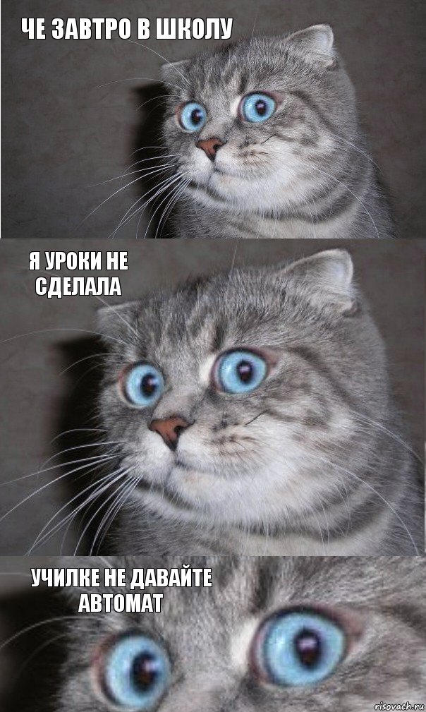 Че завтро в школу Я уроки не сделала Училке не давайте автомат, Комикс  котейка