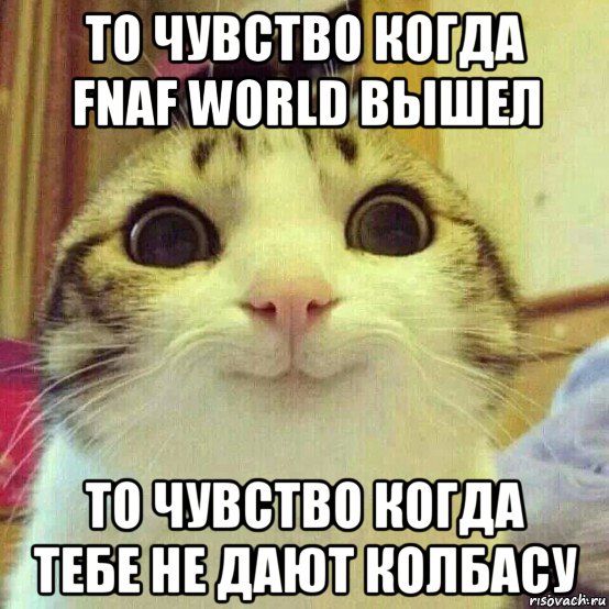 то чувство когда fnaf world вышел то чувство когда тебе не дают колбасу, Мем       Котяка-улыбака