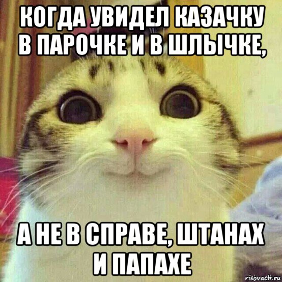 когда увидел казачку в парочке и в шлычке, а не в справе, штанах и папахе, Мем       Котяка-улыбака