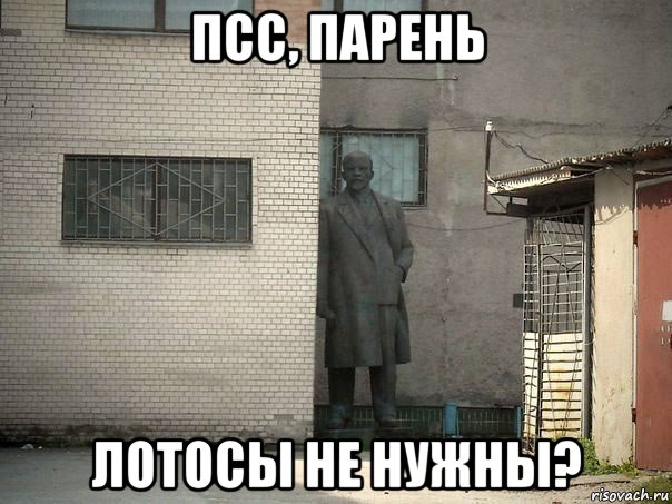 псс, парень лотосы не нужны?, Мем  Ленин за углом (пс, парень)