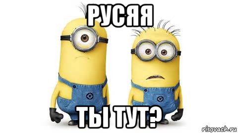 русяя ты тут?