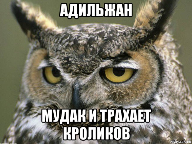 адильжан мудак и трахает кроликов