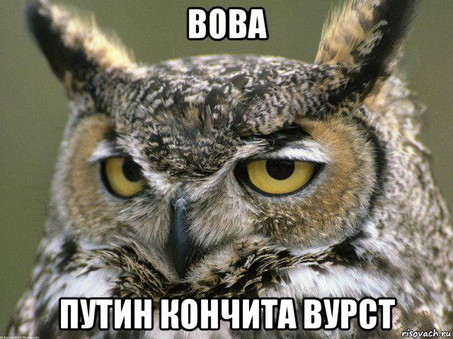 вова путин кончита вурст