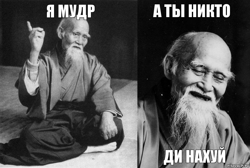 Я мудр  А ты никто Ди нахуй, Комикс Мудрец-монах (4 зоны)