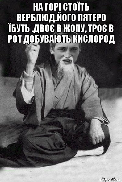 на горі стоїть верблюд.його пятеро їбуть .двоє в жопу, троє в рот добувають кислород , Мем Мудрий паца