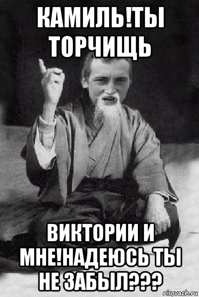 камиль!ты торчищь виктории и мне!надеюсь ты не забыл???, Мем Мудрий паца