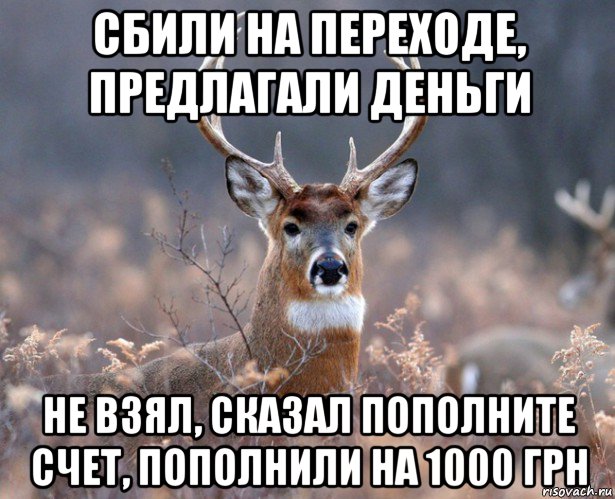 сбили на переходе, предлагали деньги не взял, сказал пополните счет, пополнили на 1000 грн, Мем   Наивный олень