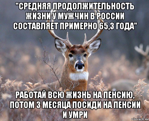 "средняя продолжительность жизни у мужчин в россии составляет примерно 65,3 года" работай всю жизнь на пенсию, потом 3 месяца посиди на пенсии и умри, Мем   Наивный олень