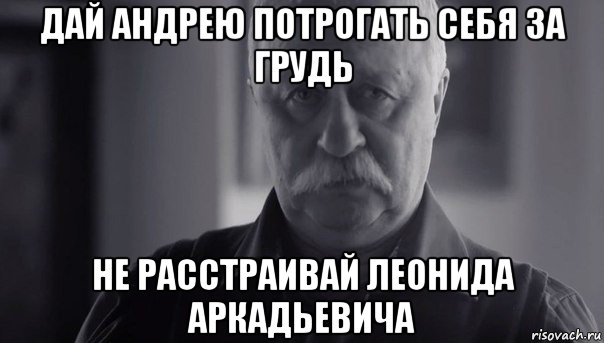 дай андрею потрогать себя за грудь не расстраивай леонида аркадьевича, Мем Не огорчай Леонида Аркадьевича