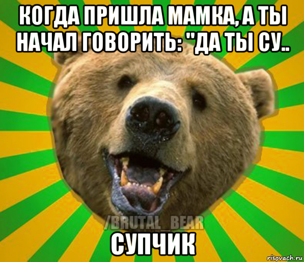 когда пришла мамка, а ты начал говорить: "да ты су.. супчик, Мем Нелепый медведь