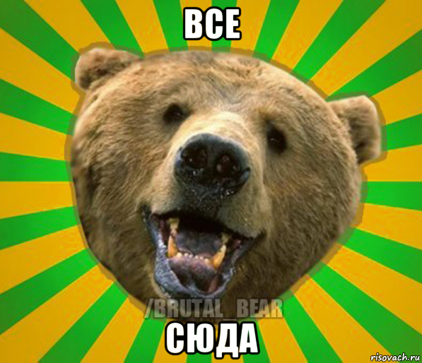 все сюда