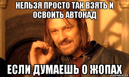 нельзя просто так взять и освоить автокад если думаешь о жопах, Мем Нельзя просто так взять и (Боромир мем)