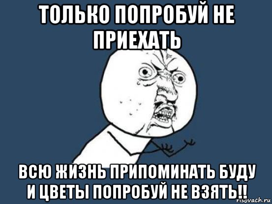 только попробуй не приехать всю жизнь припоминать буду и цветы попробуй не взять!!, Мем Ну почему