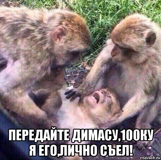  передайте димасу,100ку я его,лично съел!