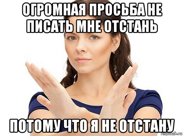 огромная просьба не писать мне отстань потому что я не отстану, Мем Огромная просьба