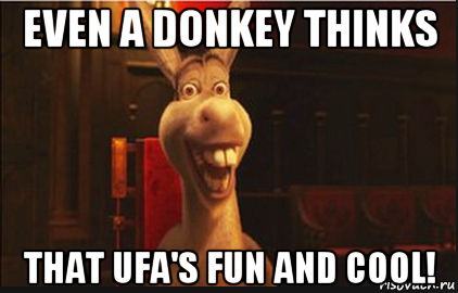 even a donkey thinks that ufa's fun and cool!, Мем Осел из Шрека