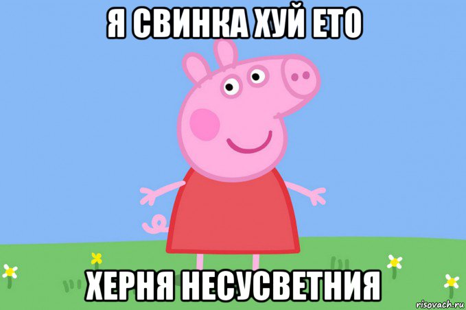 я свинка хуй ето херня несусветния, Мем Пеппа