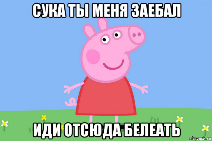 сука ты меня заебал иди отсюда белеать, Мем Пеппа