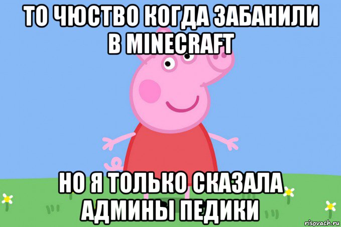 то чюство когда забанили в minecraft но я только сказала админы педики, Мем Пеппа