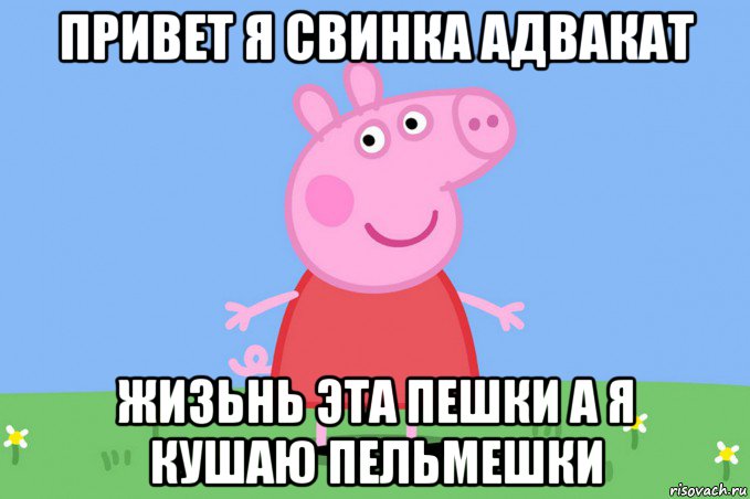 привет я свинка адвакат жизьнь эта пешки а я кушаю пельмешки, Мем Пеппа