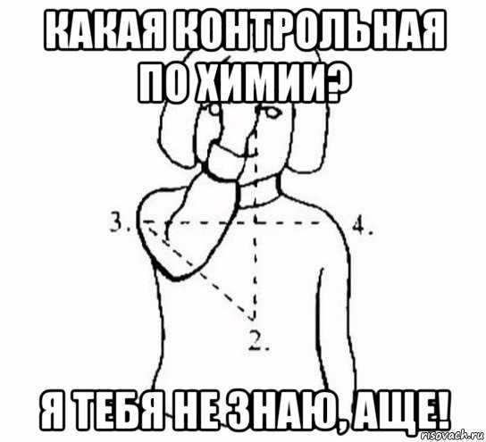 какая контрольная по химии? я тебя не знаю, аще!, Мем  Перекреститься