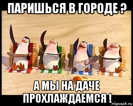 паришься в городе ? а мы на даче прохлаждаемся !, Мем   пингвины мадагаскара машут