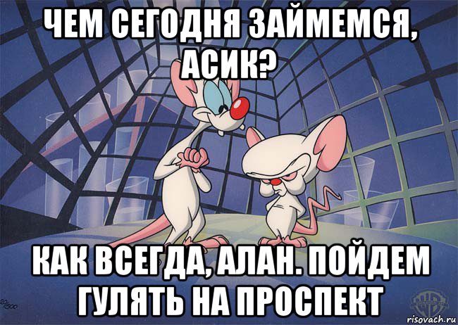 чем сегодня займемся, асик? как всегда, алан. пойдем гулять на проспект