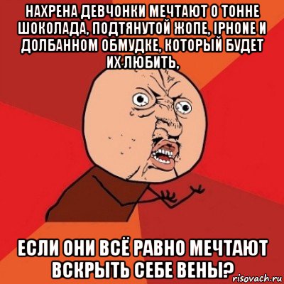 нахрена девчонки мечтают о тонне шоколада, подтянутой жопе, iphone и долбанном обмудке, который будет их любить, если они всё равно мечтают вскрыть себе вены?, Мем Почему