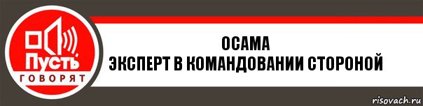 Осама
Эксперт в командовании стороной, Комикс   пусть говорят