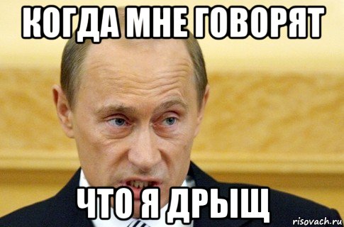 когда мне говорят что я дрыщ, Мем путин