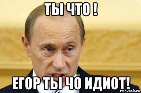 ты что ! егор ты чо идиот!, Мем путин