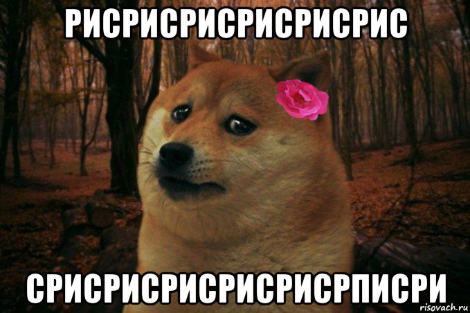 рисрисрисрисрисрис срисрисрисрисрисрписри, Мем  SAD DOGE GIRL