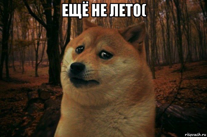 ещё не лето( 