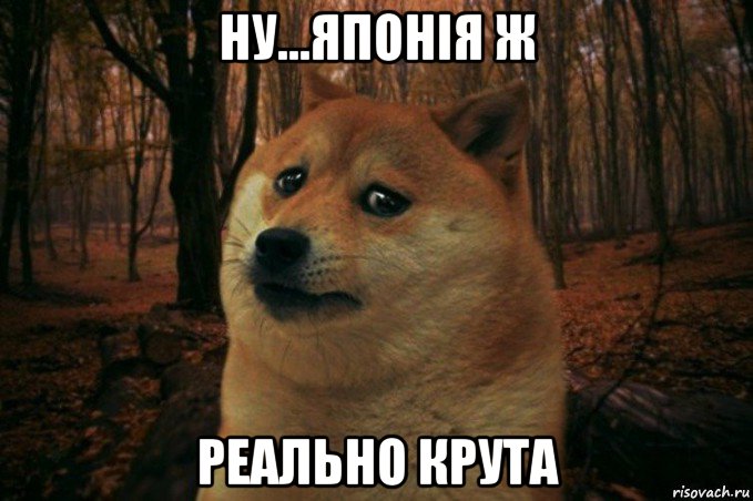 ну...японія ж реально крута, Мем SAD DOGE