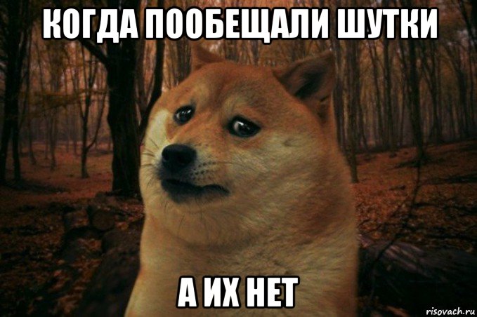 когда пообещали шутки а их нет, Мем SAD DOGE