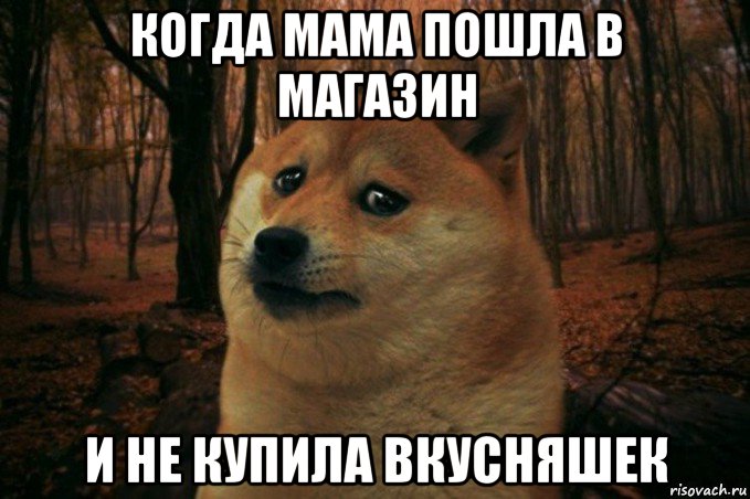 когда мама пошла в магазин и не купила вкусняшек, Мем SAD DOGE