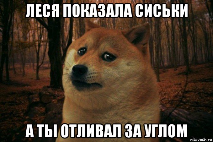 леся показала сиськи а ты отливал за углом, Мем SAD DOGE