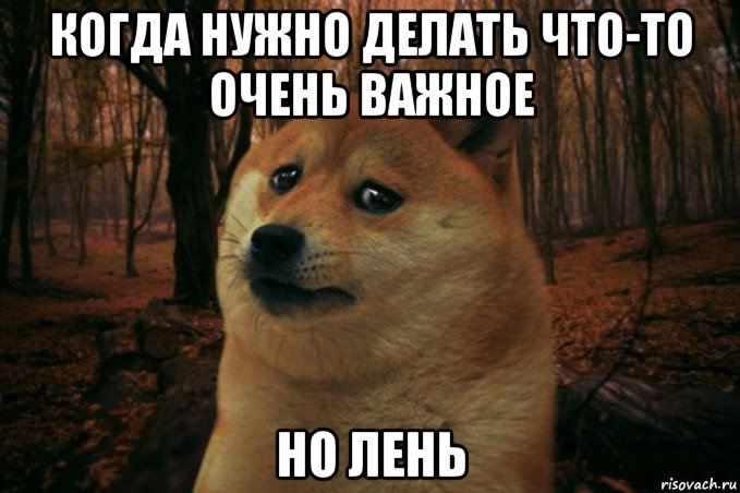 когда нужно делать что-то очень важное но лень, Мем SAD DOGE