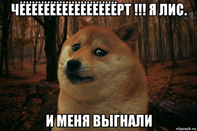 чёёёёёёёёёёёёёёёёрт !!! я лис. и меня выгнали, Мем SAD DOGE