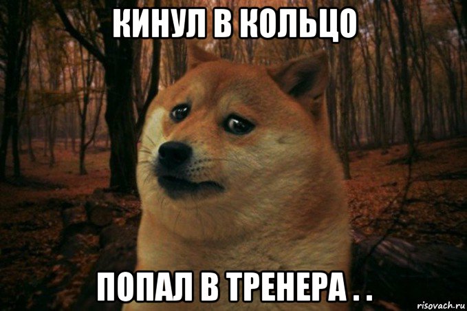 кинул в кольцо попал в тренера . ., Мем SAD DOGE