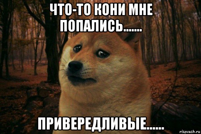 что-то кони мне попались....... привередливые......, Мем SAD DOGE