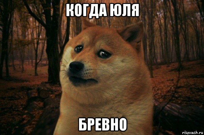 когда юля бревно, Мем SAD DOGE