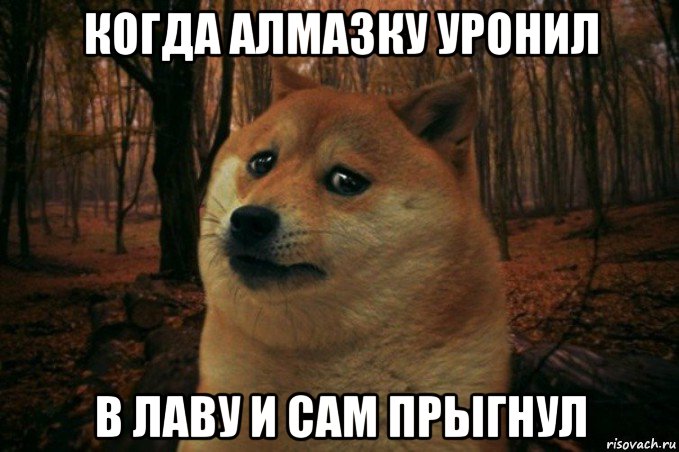 когда алмазку уронил в лаву и сам прыгнул, Мем SAD DOGE