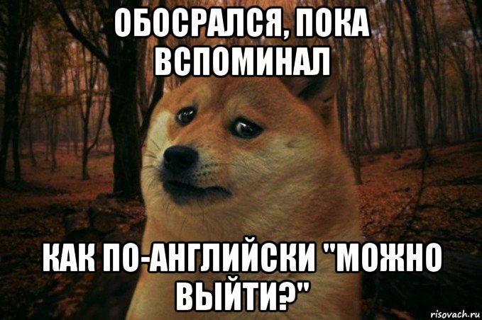 обосрался, пока вспоминал как по-английски "можно выйти?", Мем SAD DOGE