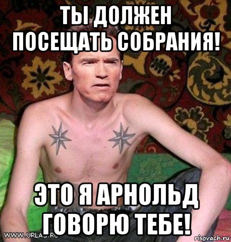 ты должен посещать собрания! это я арнольд говорю тебе!, Мем Шварц на нарах